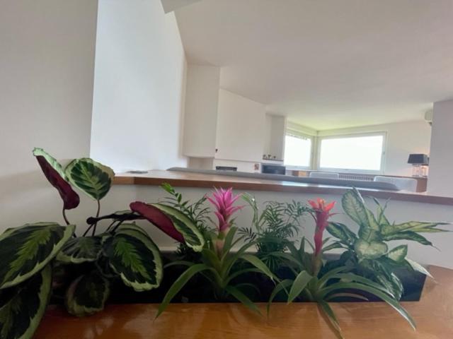 Casa Caponetti Villa Коста Волпино Екстериор снимка